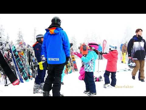 Video: Vankuverdəki Stenli Parkı həmişəyaşıl vahədir. 