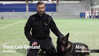 Hundepatruljen I Agder Hundepatruljen I Agder