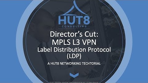 HUT8 - Director