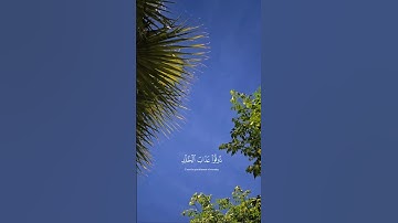 #عبدالرحمن_مسعد #تلاوة #قران_كريم #استوريات #اكسبلور #تصويري #تصوير
