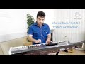 Alan walker faded cover by mehran mokhtarzadeh korg pa4x