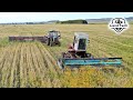 Самоходная косилка КПС-5 и тракторы МТЗ-80 с прицепными жатками ЖВЗ-7 скашивают пшеницу!