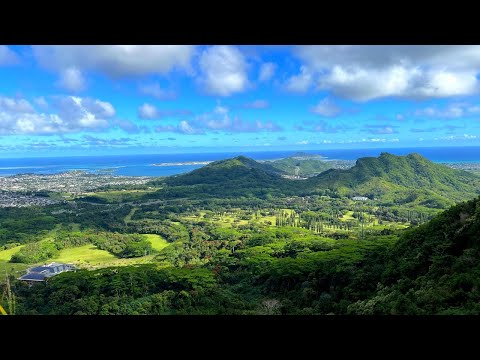 Video: Tinjauan Nu'uanu Pali di Taman Tepi Jalan Negeri Nu'uanu Pali, Oahu