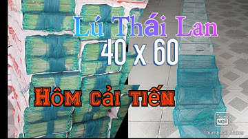 Lú 12 cửa ngục lưới Thái Lan hôm cải tiến khung 40 x 60 . dính nhiều cá tôm
