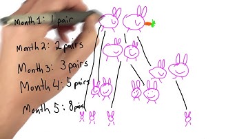 Bunnies - Intro to Computer Science