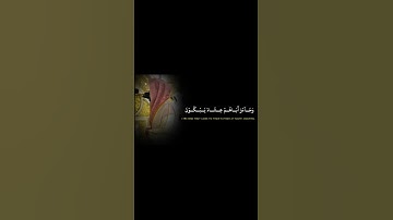 تلاوه لا يوجد لها مثيل 🎧♥️ #عبدالله_القرافي
