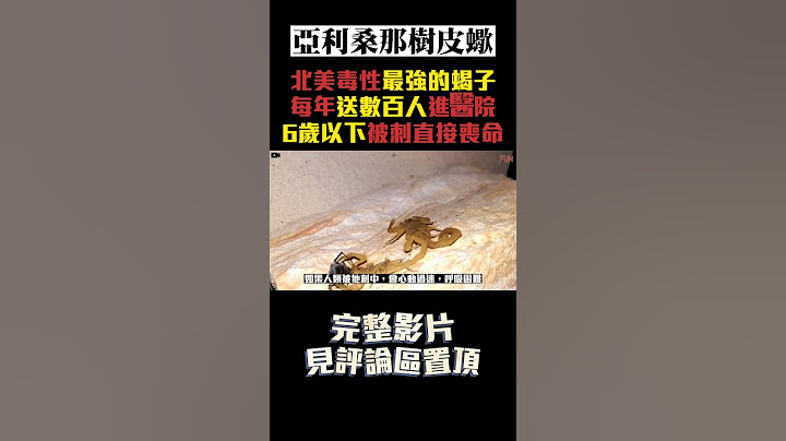 北美毒性最強的蝎子，每年送數百人進醫院！擁有極為強韌的生存毅力！ #shorts