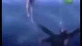 In Water Chimps Will Drown Youtube In Water Chimps Will Drown Youtube