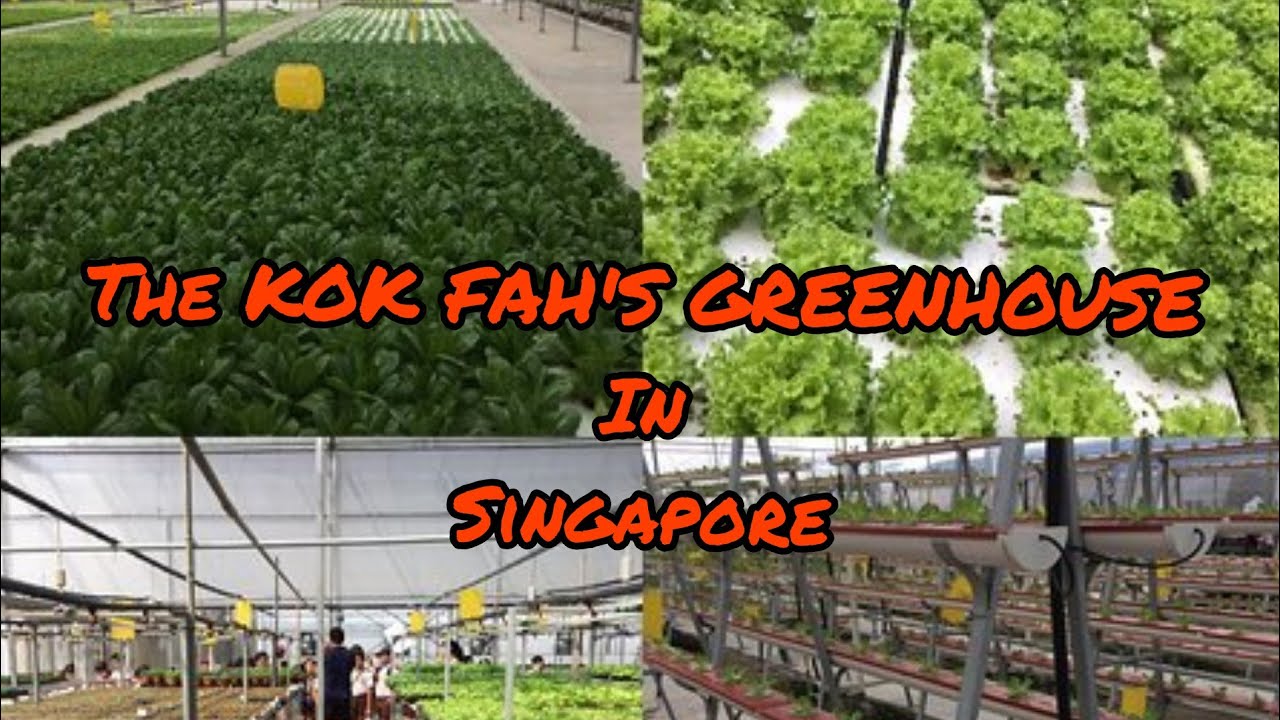 The KOK FAH'S GREENHOUSE in Singapore