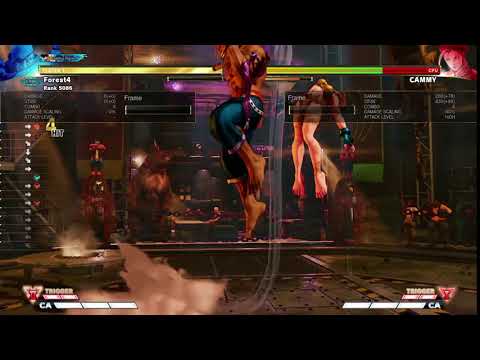 Sagat Day 2 Crush Counter Punish Combo SFVAE