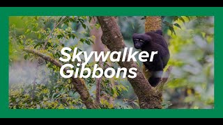 Protecting the Last Skywalkers | Kyle Obermann