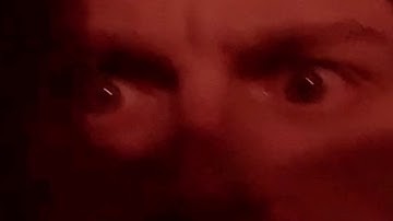 Simulating the Evolution of Aggression