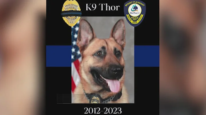 Mount Pleasant PD says retired police K-9 Thor has died
