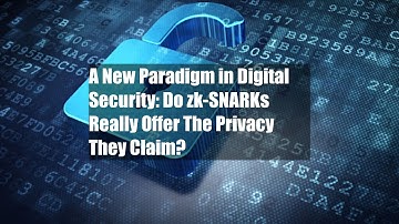 A New Paradigm in Digital Security: Do zk-SNARKs Really Offer The Privacy They Claim?