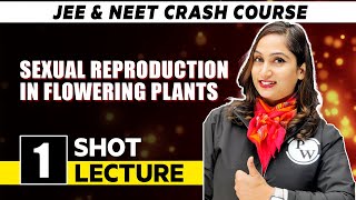 Sexual Reproduction In Flowering Plants - One Shot Lecture | CHAMPION - NEET CRASH COURSE 2022