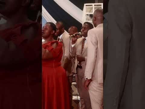 Mwana Punda By Lighthouse