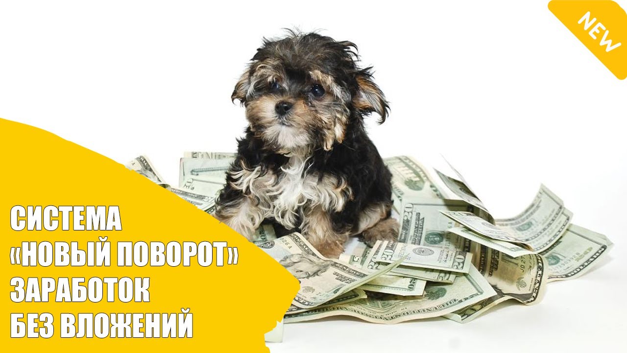 Наборщик текста удаленно вакансии без вложений - YouTube