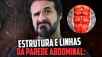 Quais músculos formam a parede abdominal?