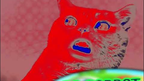 Preview 2 Numa Cat 2022 Effects Effects