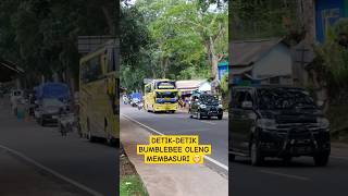 DETIK-DETIK BUS PECEL BALAP BUMBLEBEE OLENG MEMBASURI #telolet #basuri #bus #pecelbalap #bumblebee