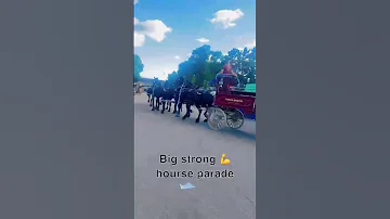 Positivevibes Dothingsyoudontwanttodo Mn State Fair 2025 