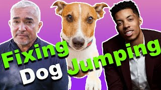 How To Stop A Dog From Jumping (Ft.Melvin Gregg)