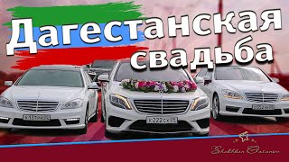 СКРОМНАЯ ДАГЕСТАНСКАЯ СВАДЬБА | ФАРИД & ЗУХРА | Свадьба в Дагестане | Видеограф Шахбан Гасанов