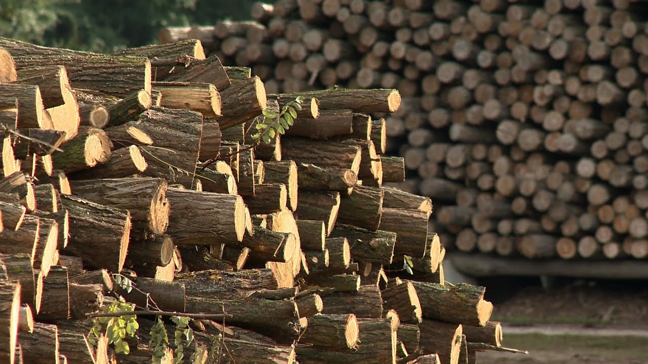 Rengeteg a megrendelés