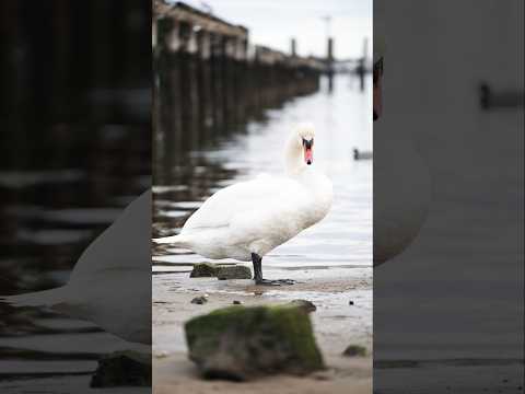  35  150  35 150 2 0 2 8  73   