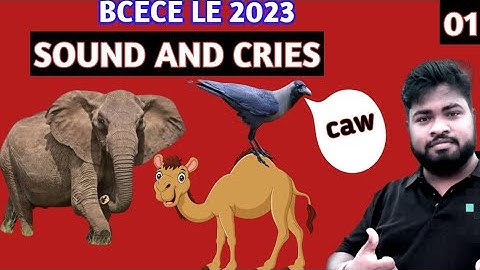 Bcece le 2023।।English Sound and cries ।।part-01।।
