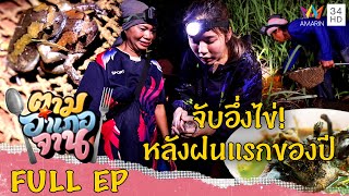 [ENG-SUB] จับอึ่งไข่! หลังฝนแรกของปี อ.เสิงสาง จ.นครราชสีมา | ตามอำเภอจาน | 29 ก.ค.66 Full EP