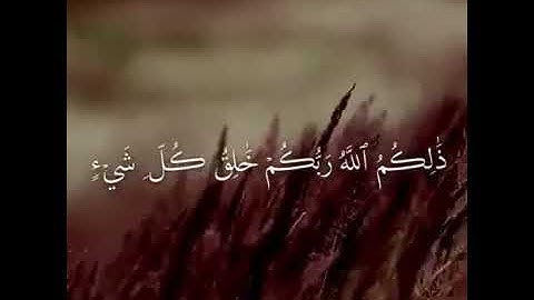 حالات واتس(قران كريم) وقال ربكم ادعوني استجب لكم