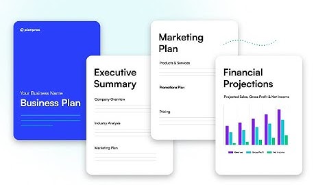 How to Create a Professional Business Plan in Just 12 Minutes with PlanPros