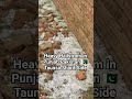 Heavy Hailstrom in Punjab Pakistan 🇵🇰 Taunsa Sharif Side.