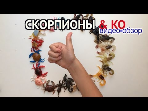 Video: Otkriva Se Misterij Okamenjenih škorpiona - Alternativni Pogled