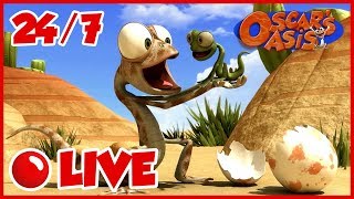NEW Oscar s Oasis - HD Live Stream Full Episodes 24 7