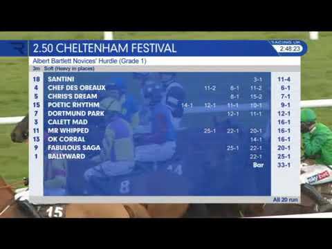 Kilbricken Storm Albert Bartlett At Cheltenham 2018