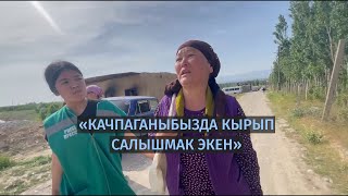 «Качпаганыбызда кырып салышмак экен»