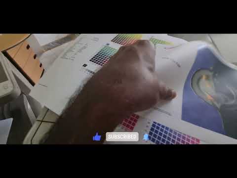 How to Fix Color Mismatch Issues on Canon C5030i Printers