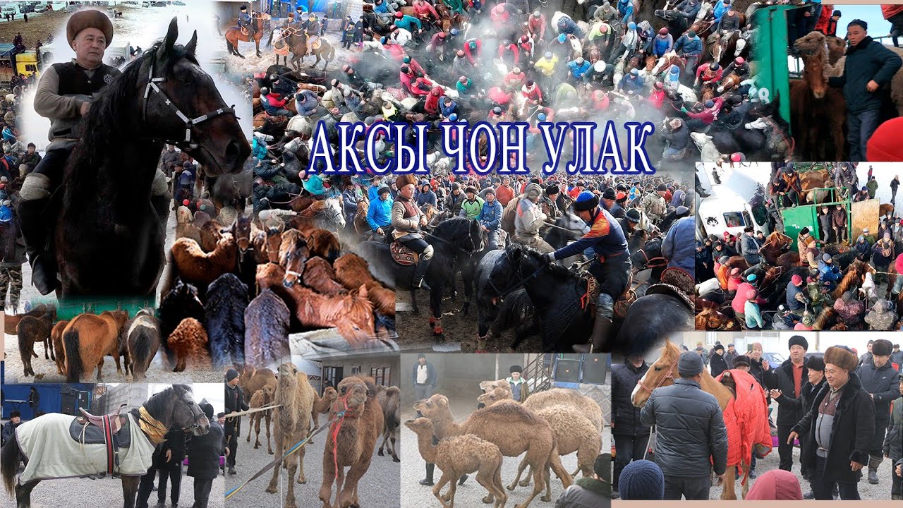 Аксы  Улаш балбан Чон улак. толук чыгарылышы 1-болук