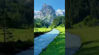 kal Hum Jisse Mile The Usne Hi Dil Churayanatureloversshortstatusplz subscribe my channel