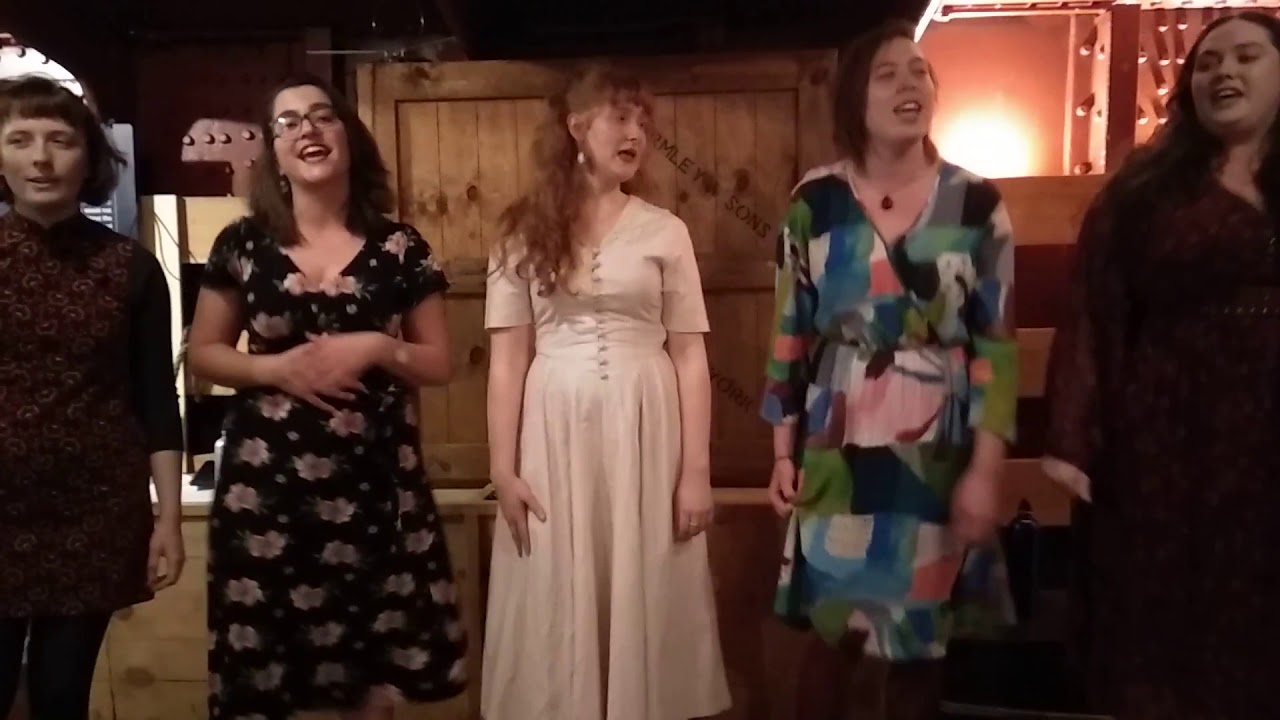 Johnny Lad - The Fossickers