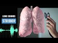 Stridor lung sound  christina np  caring casa