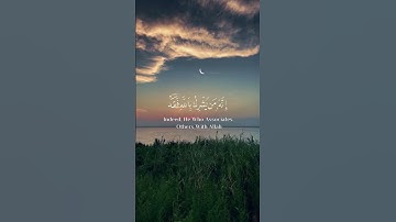 سورة المائدة - #عبدالرحمن_مسعد