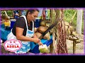 ☘️ Comprando agua de coco a la orilla de la calle