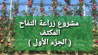 مشروع زراعة التفاح المكثف ( الجزء الأول )