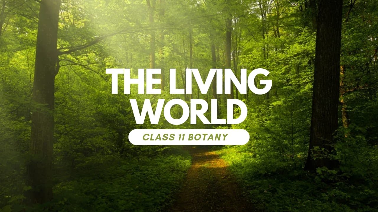 NEET : THE LIVING WORLD!! CLASS 11 [ PAID CONTENT]