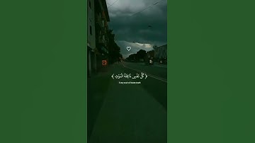 القارئ( عبدالرحمن مسعد ) كل نفس ذائقة الموت