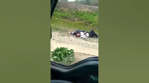Как быстро продать черемшу