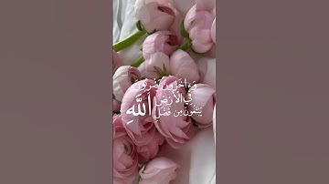 حالات واتس قرآن❄️|سورة المزمل❄️| القارئ عبد الرحمن مسعد